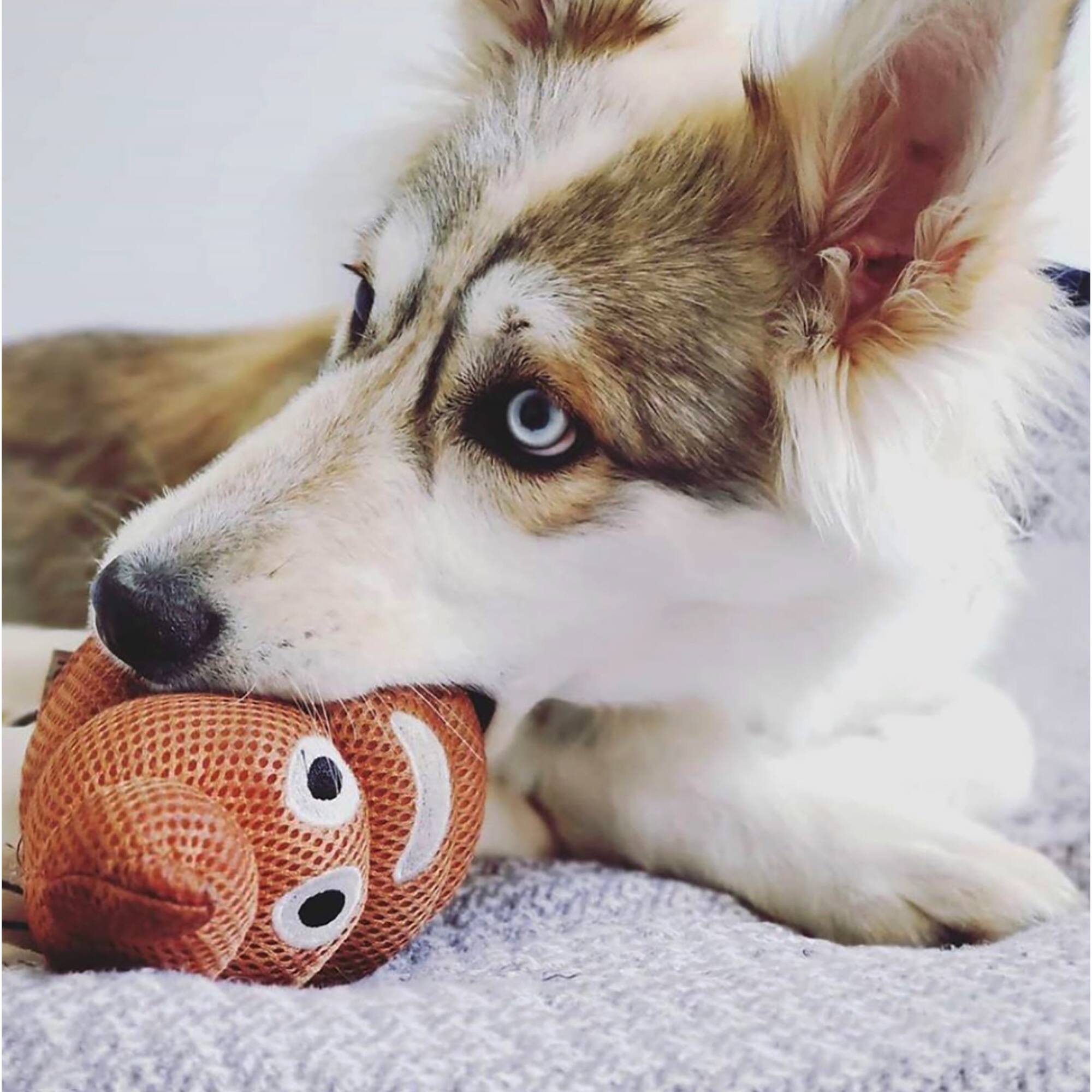 FouFIT Poop Emoji Plush Dog Toy with Squeaker